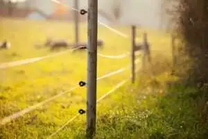 Electric fence alarm system installed on a residential property to deter intruders.
