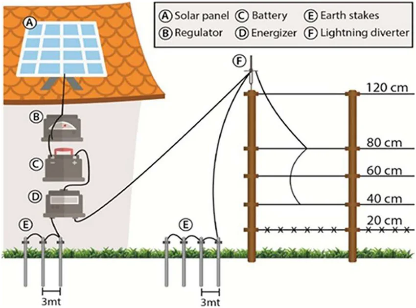 Electric fence gate installed on a farm or ranch to control livestock movement.